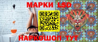 шишки Нарткала