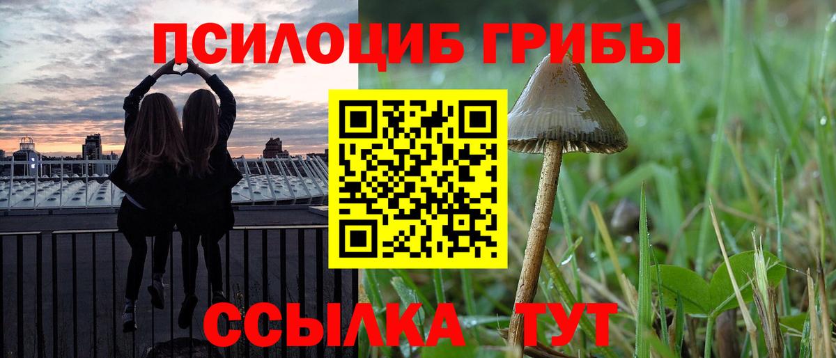 Галлюциногенные грибы прущие грибы Гатчина